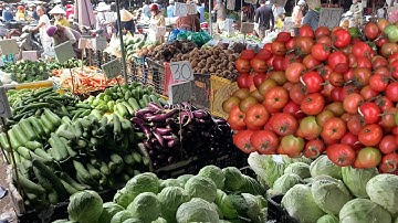 giá bán lẻ RAU CỦ QUẢ,bên trong chợ đầu mối hóc môn,28/11/2025