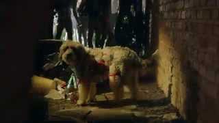 Reliant Energy - "Party" (2013)
