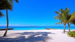 Ocean Soul Reset – 12 Hours of Tropical Ocean Therapy 4K UHD