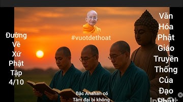 Bậc Anahan có tâm đại bikhông @duyvegan