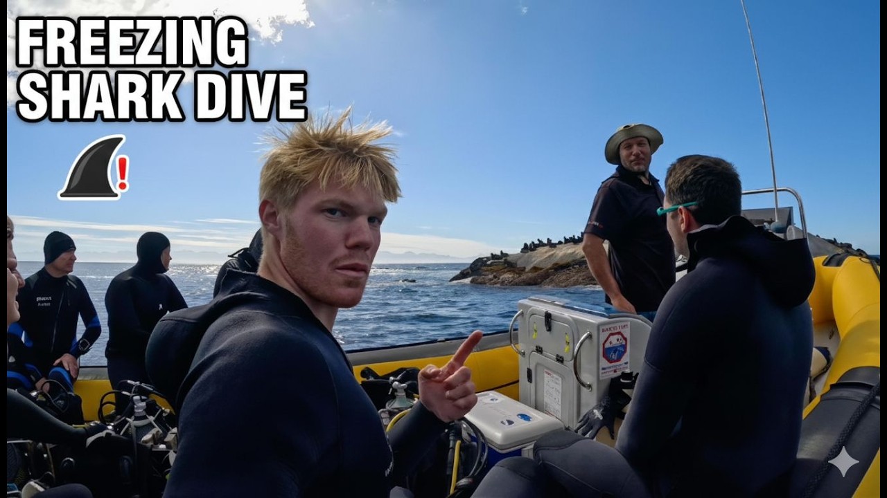 Diving with SHARKS in the Cape Town Kelp Forest! | Cape Town Ep. 2
