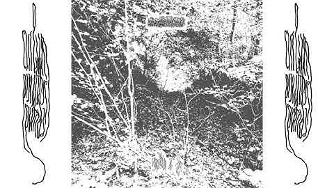 unknown artist - untitled