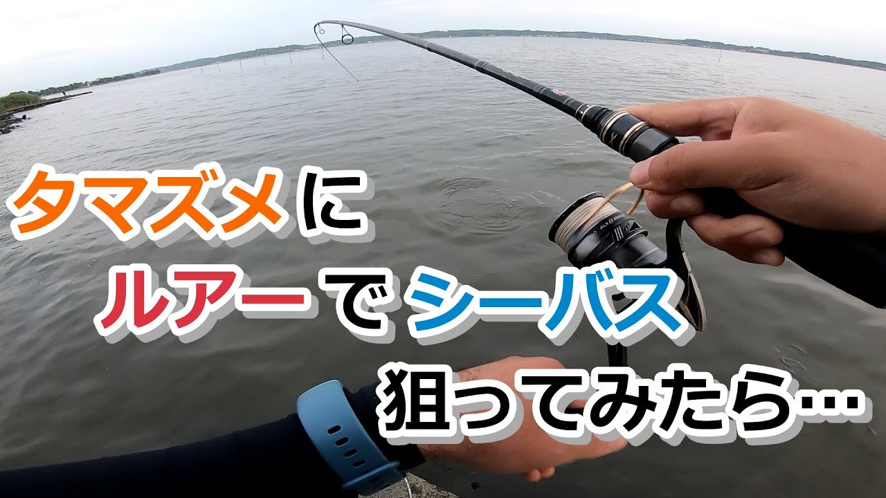 夕マズメにルアーでシーバス狙ってみたら…【2023年6月24日】 - YouTube