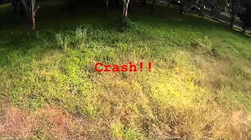 Tree Crash - Cleanflight v1.8.1 Mini Quad X 260 G10 Acro Naze32