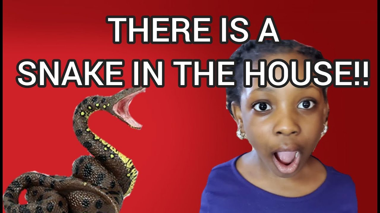 LOST SNAKE NIGERIAN FAMILY COMEDY 6 YouTube