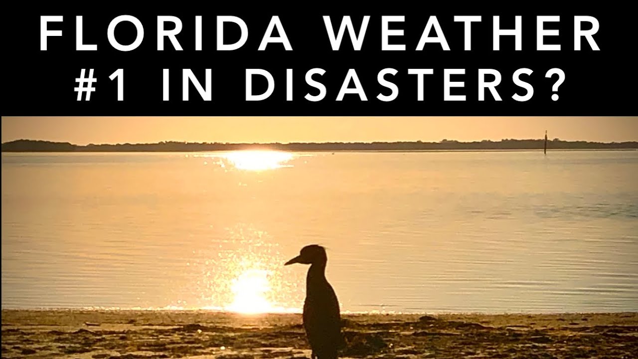 Florida Weather - YouTube
