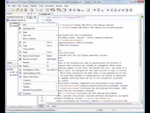 Auto-Detect the XML Formatting Settings in Oxygen XML Editor 13.1