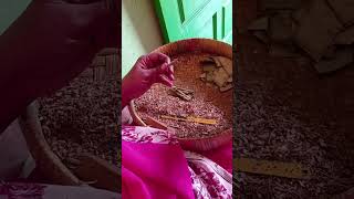 நெல்லை மாவட்டத்தில் பல குடும்பங்களின் நிலை/how to make a Beedi