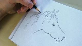 Zeichnen lernen: Pferd - Einfaches Pferd malen lernen 🐴