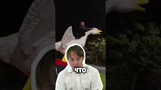 для тех кто поймал голубя на семечки!