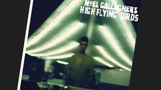 Noel Gallagher - High Flying Birds - Everybody's On The Run