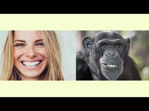 Video: Homo Sapiens - Das Ergebnis Der Evolution Oder Ein Bewohner Des Weltraumzoos? - Alternative Ansicht