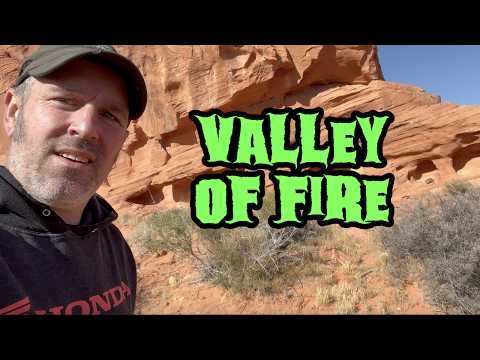 Hiking Valley of Fire + Finishing Room One (Almost!) | Day 108