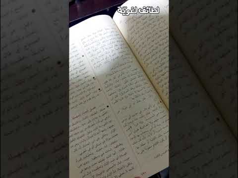 معنى تيك توك في اللغة العربية د عبدالله العبدالله