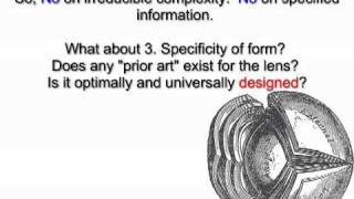 Evolution of the Eye: The Lens