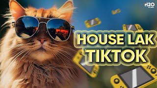 HOUSE LAK TIKTOK #8🎧NHẠC REMIX TIKTOK 2024🎧MIXTAPE DEEP HOUSE, VIET DEEP, HOUSE LAK