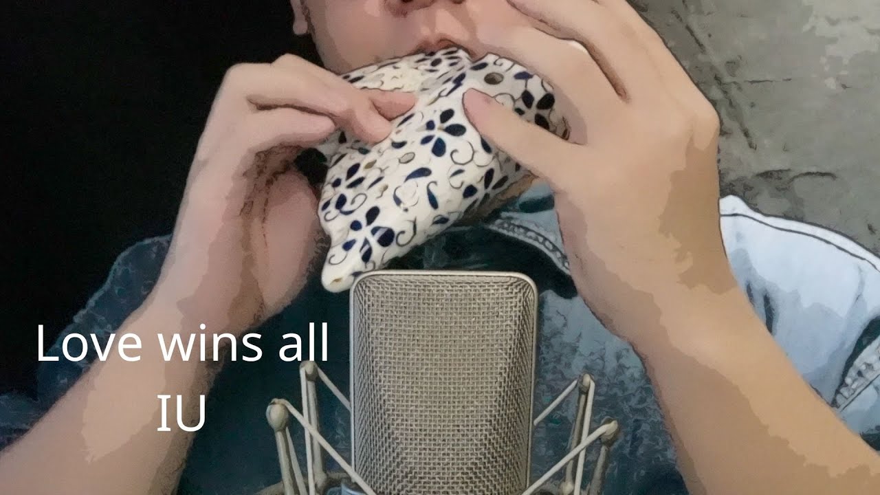 아이유IU【Love wins all】｜陶笛Ocarina Cover By Vincent Ng