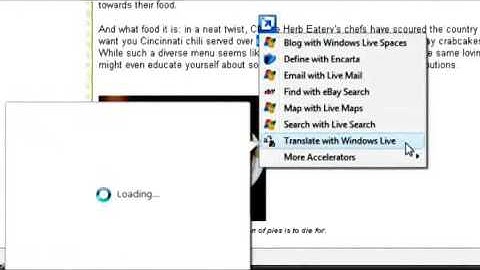 How To: Internet Explorer 8 Web Accelerators