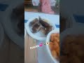 Дождалась 💞🍾🍝миленький Винченцо принёс вкусный ужин 🇮🇹💞Италия 🇮🇹 праздник " Сагра"