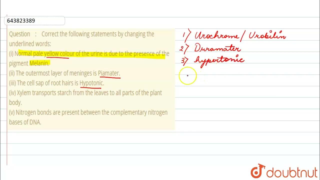 QUESTION 37 Which of the following underlined