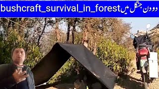 Bushcraft over night in Forest || solo camoing over night || camping  cooking in forest