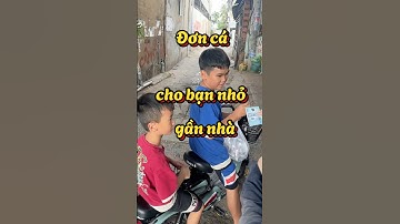 Đơn cá bảy màu cho bạn nhỏ gần nhà #fyp #guppy #cabaymau #nhacabaymau #ca7mau