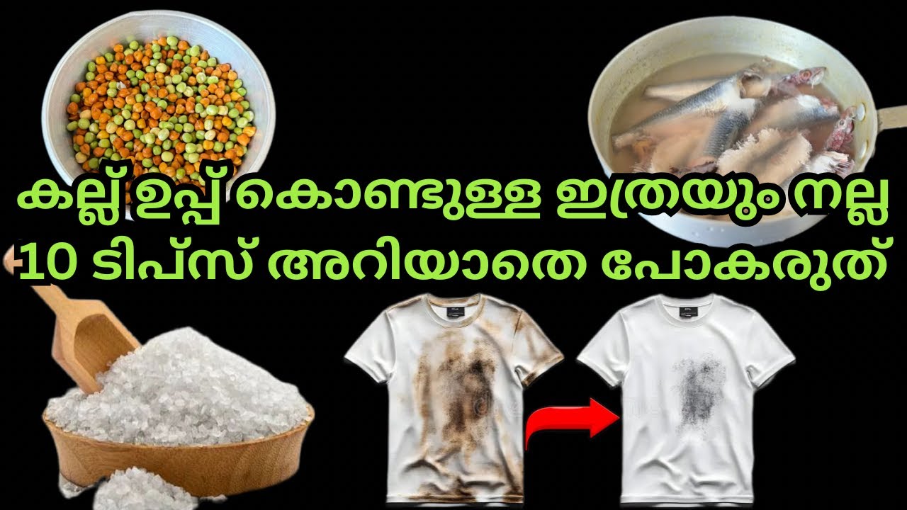 Если у вас на кухне есть каменная соль, посмотрите это видео | 10 советов по уборке с использован...