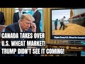Buyers ABANDON U.S. Wheat — Canada Takes Over as Global Orders Collapse! Trump's Tariffs Backfire