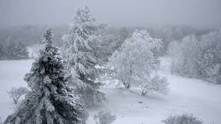 Beech Mountain, NC - Frozen Solid !