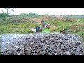 Unbelievable fishing Found A lot Fish Back Water , technique tools catching Catfish in Rainy Season