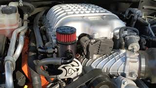 Mightymouse Hellcat WILD catch can system