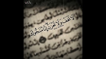 تلاوه خاشعه| قمة الهدوء والسكينه | القارئ عبدالرحمن مسعد 💕