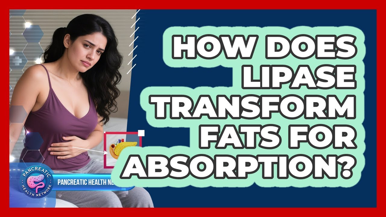 How Does Lipase Transform Fats For Absorption? - YouTube