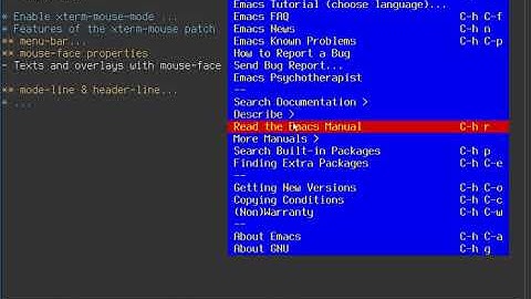 xterm patch screencast