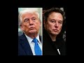 Between Trump and Elon musk