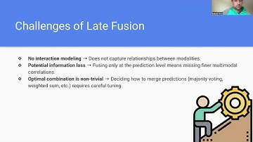 Late and Mix fusion methods