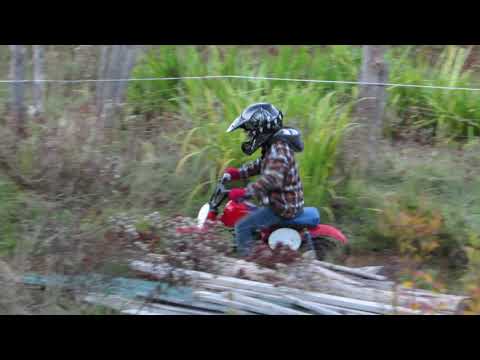 Honda Z50 1983