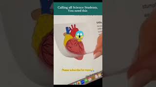 😱FSc/MDCAT Students: Stop memorizing, START seeing this!#respect #physics #viral #shorts #science