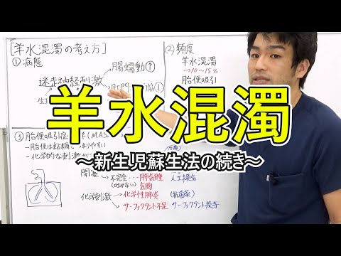 羊水混濁の考え方と胎便吸引症候群　～新生児蘇生法の続き～　2021/5公開