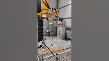 Bags Palletizing, 25KG #stacking #palletizer #palletizing #pallet #factory #robot