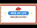 Understanding Food Webs and Organisms