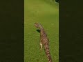 METRIACANTOSAURIO | JURASSIC WORLD EVOLUTION | #shorts