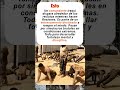 El entrenamiento más brutal del ejército iraquí 😱 #shorts #viral #misterio