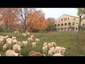 Prioriterre Centenaire du domaine des Courmettes à Tourettes sur loup