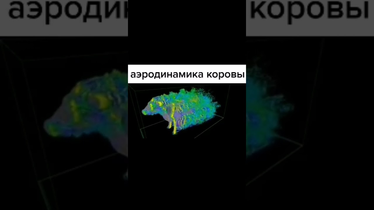 Аэродинамика коровы
