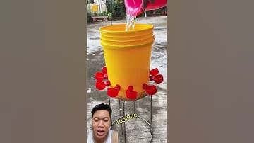 Dụng CụTaanj Dụng  Thùng Xô Nhựa #freerangechickens