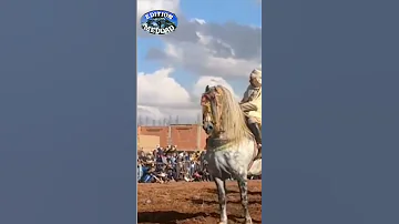 الشيخ حمزة ولد مدريسة 