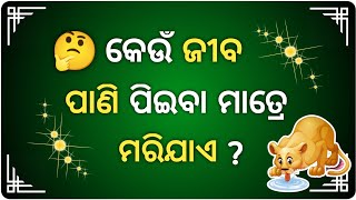 Odia Dhaga Dhamali IAS Questions | Clever Q & Ans | Odia Dhaga katha | Odia Gk | UB GK