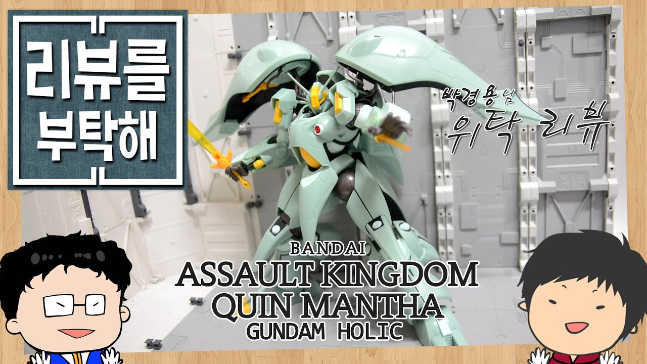 Review #41] Assault Kingdom Quin Mantha - YouTube