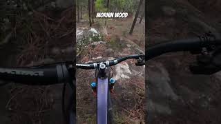 New Trail! Mornin Wood at Beacon Hill in Spokane, WA MTB #pnw #mtb #mountainbiking #freeride